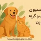 پانسیون حیوانات خانگی در قزوین