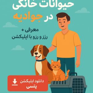 پانسیون حیوانات خانگی در جوادیه تهران | خدمات کامل + قیمت