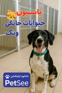 پانسیون حیوانات خانگی در ونک
