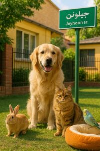 سگ، گربه، خرگوش و طوطی در پانسیون حیوانات خانگی در محله جیحون تهران در محیطی سبز و تمیز