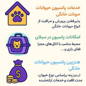 تصویر ایلوستریشن معرفی اپلیکیشن پتسی برای رزرو آنلاین پانسیون حیوانات خانگی در سبلان با طراحی مدرن و رنگهای سبز و آبی